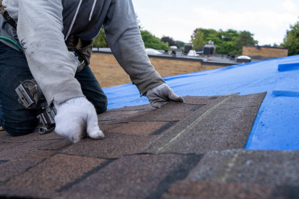 Best Flat Roof Repair Services  in Woodbridge, VA